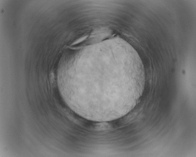 X0000068320087200605192044