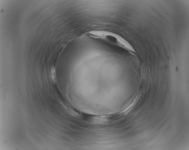 X0000068320094200605192044