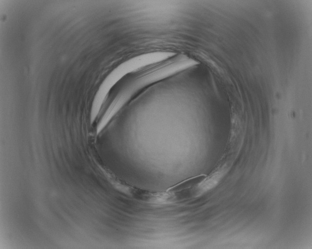 X0000068320096200605192044