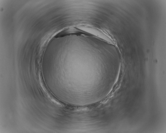 X0000068320097200605192043