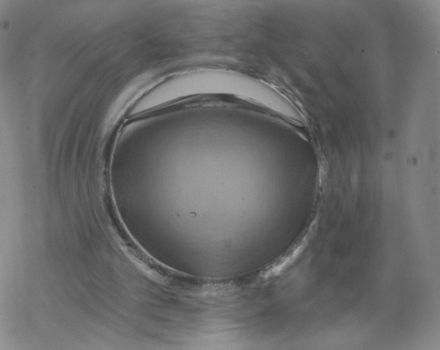 X0000068320101200605192043