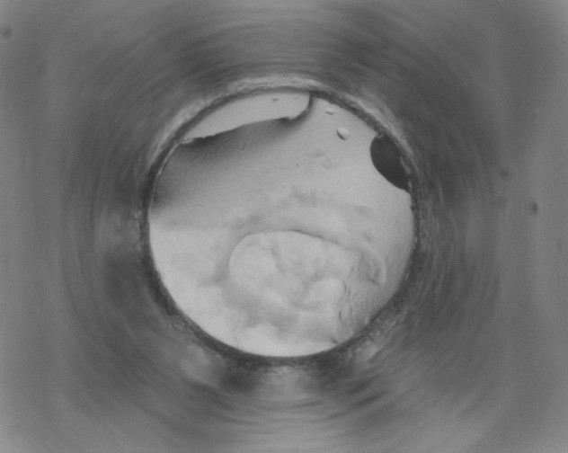 X0000068320111200605192043