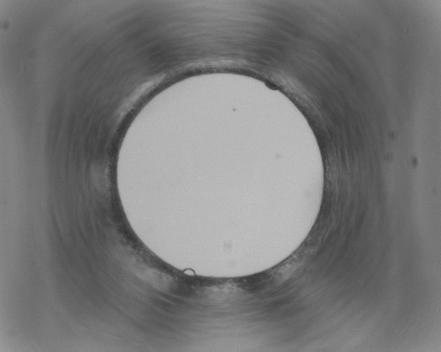 X0000068320112200605192043