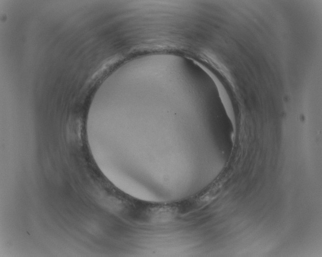 X0000068320115200605192043