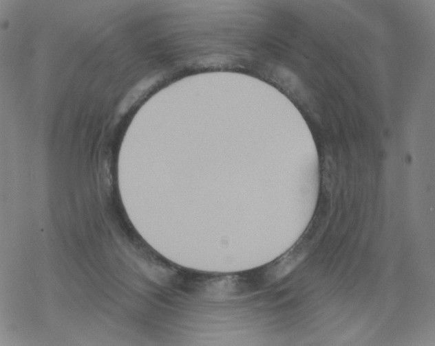 X0000068320116200605192043