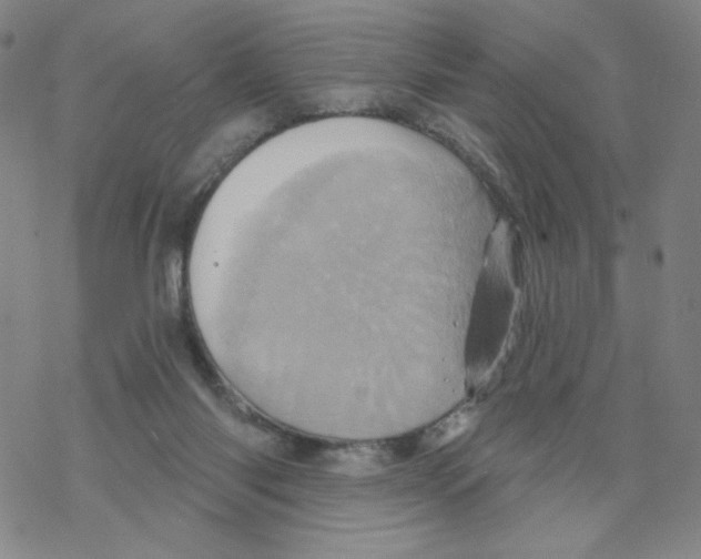 X0000068320118200605192043