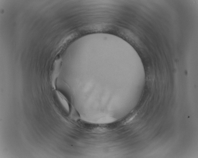 X0000068320119200605192043