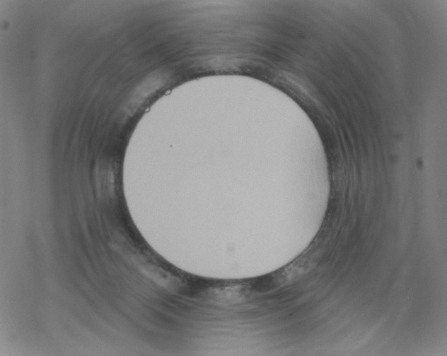 X0000068320120200605192043