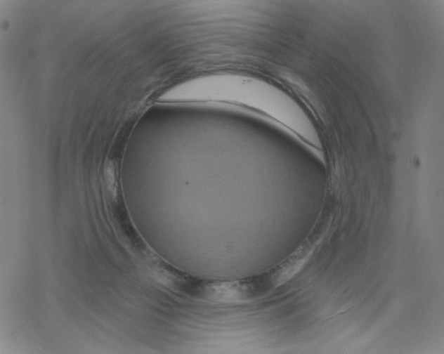 X0000068320121200605192043