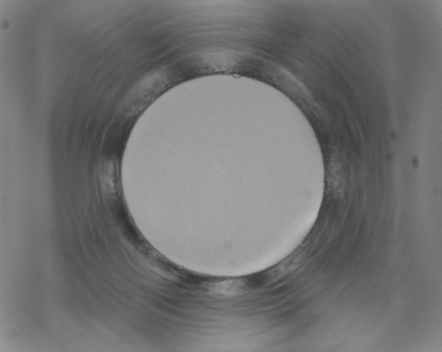X0000068320122200605192043