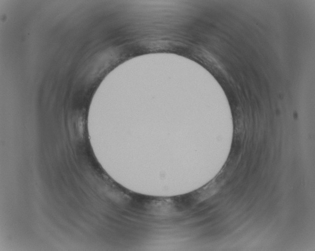 X0000068320124200605192043