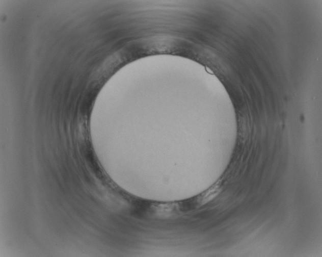 X0000068320126200605192043