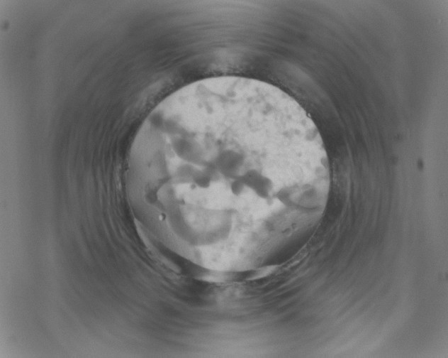 X0000068320127200605192043