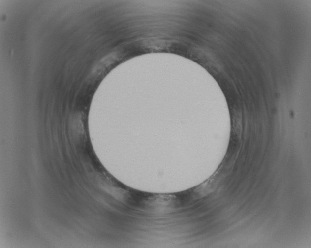 X0000068320128200605192043