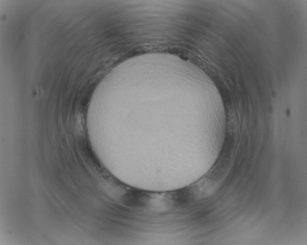 X0000068320130200605192043