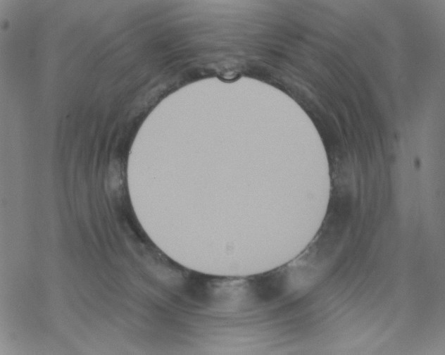 X0000068320132200605192042