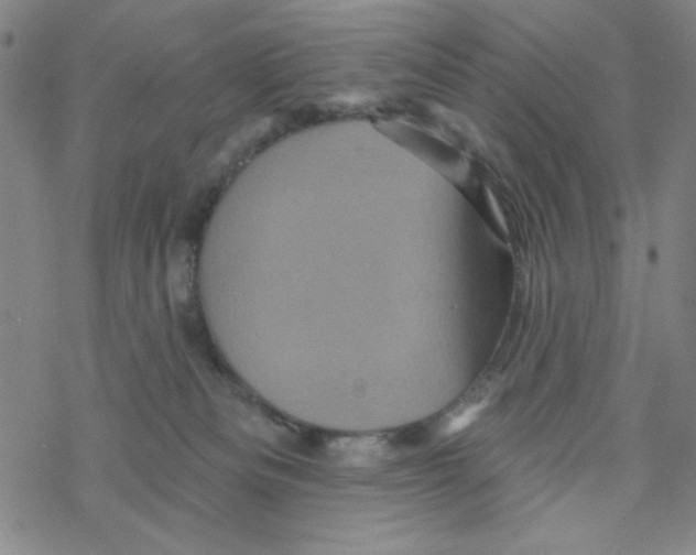 X0000068320133200605192042