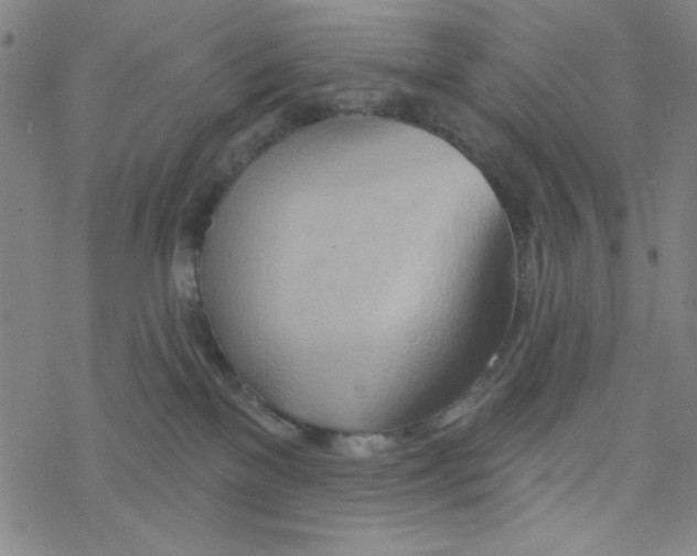X0000068320137200605192042