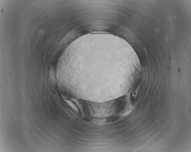 X0000068320143200605192042