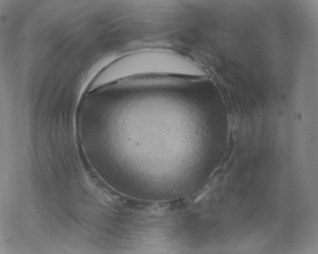X0000068320148200605192042