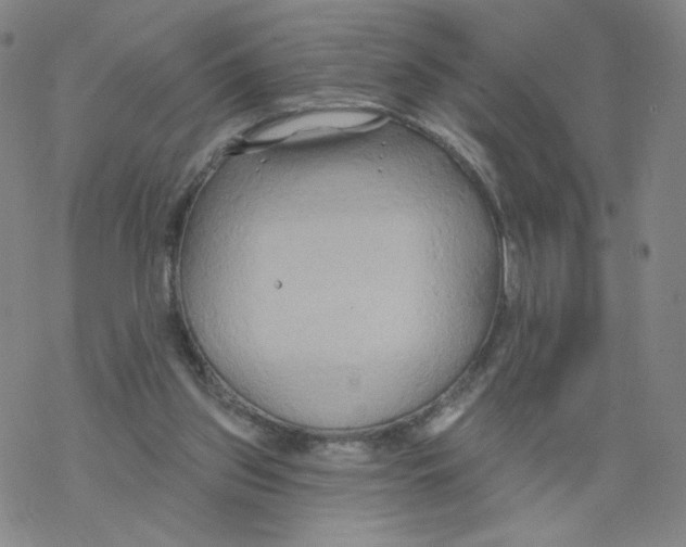 X0000068320157200605192042
