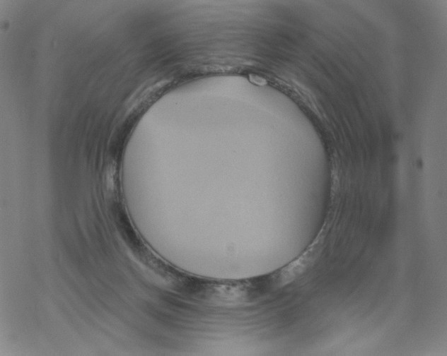 X0000068320166200605192042