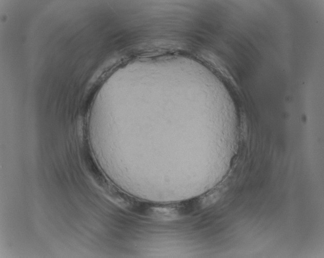 X0000068320167200605192042