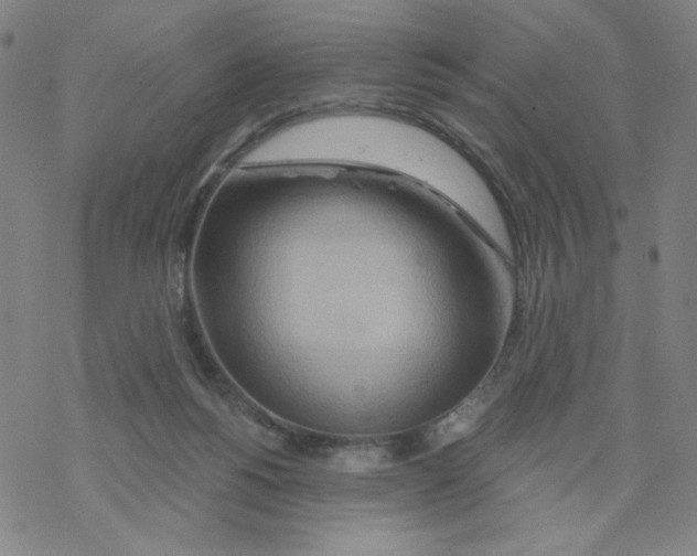 X0000068320168200605192042