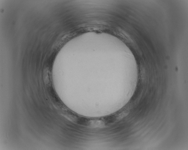 X0000068320169200605192042