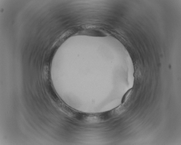 X0000068320171200605192042