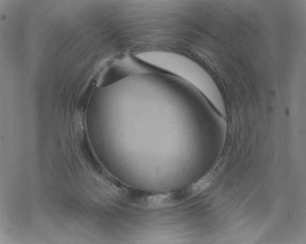 X0000068320172200605192042