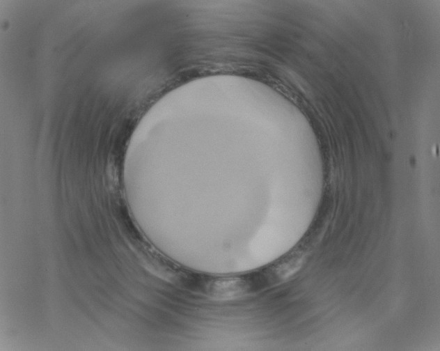 X0000068320173200605192042
