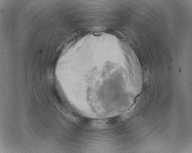 X0000068320179200605192042