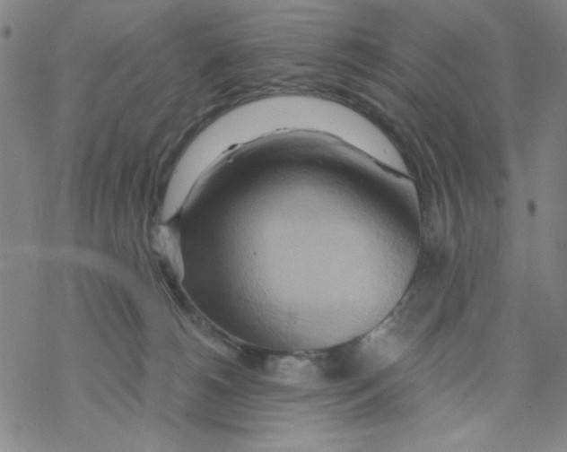 X0000068320180200605192042