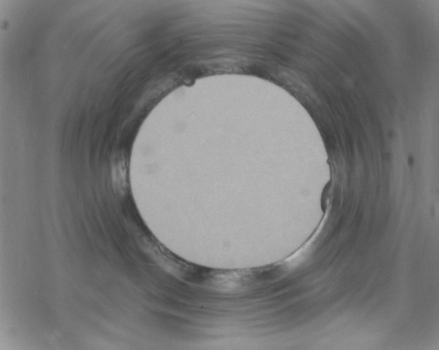 X0000068320190200605192042