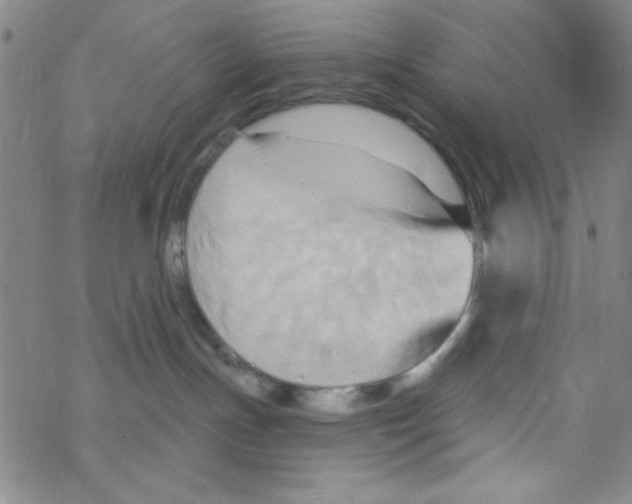 X0000068320191200605192042