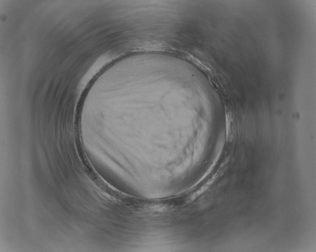 X0000068320195200605192041