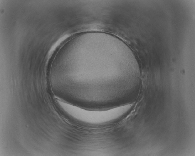 X0000068320200200605192041