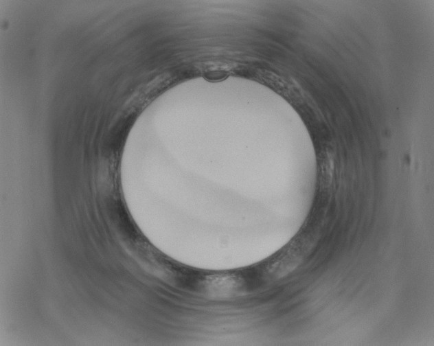 X0000068320218200605192041