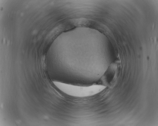 X0000068320239200605192041