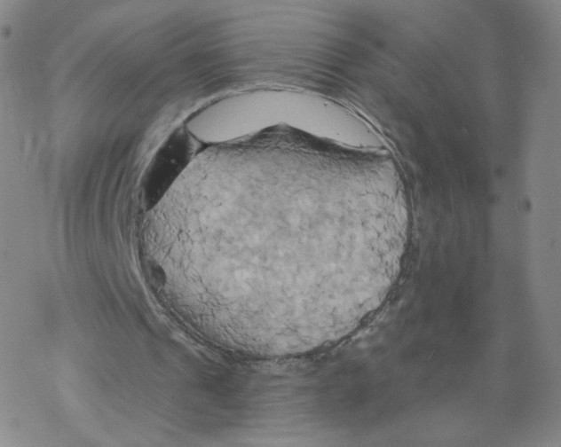 X0000068320241200605192040