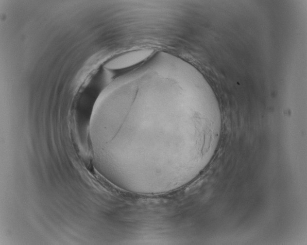 X0000068320242200605192040