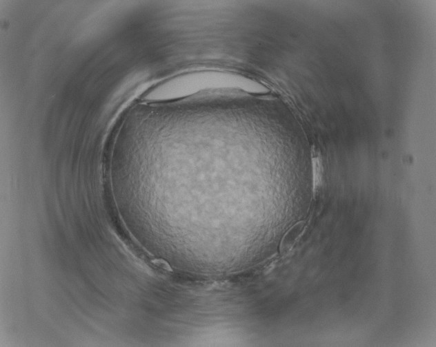 X0000068320243200605192040