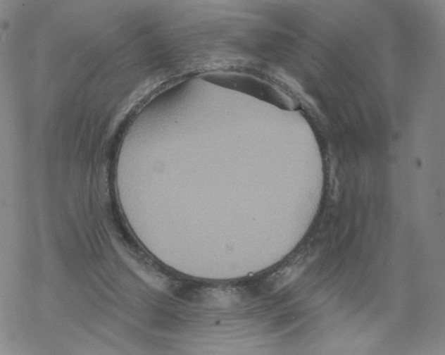 X0000068320250200605192040