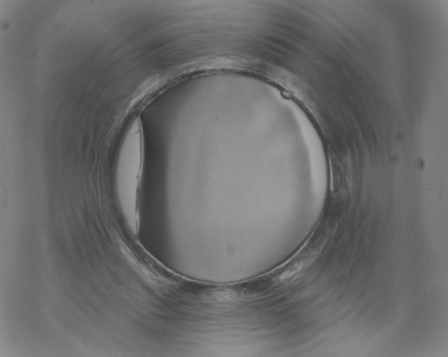 X0000068320253200605192040