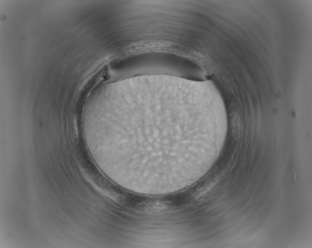 X0000068320254200605192040