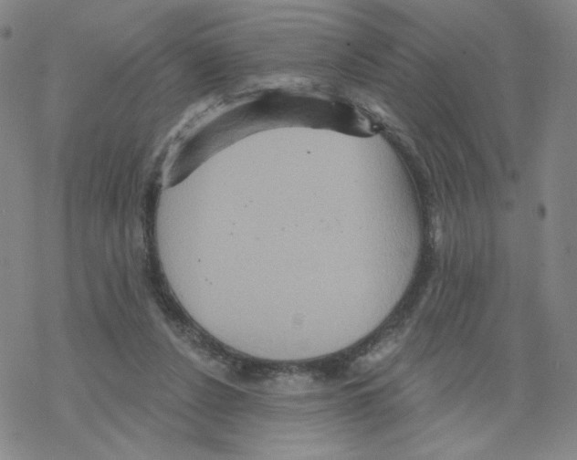 X0000068320256200605192040