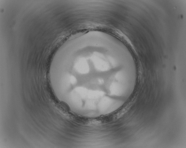 X0000068320257200605192040