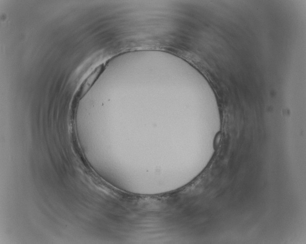 X0000068320290200605192040