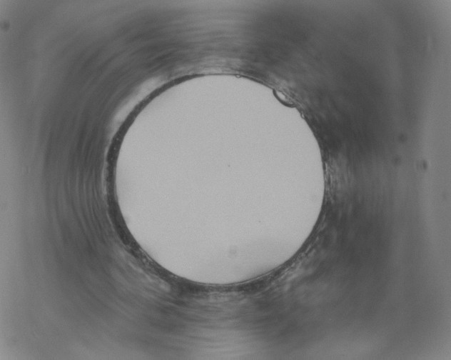 X0000068320292200605192040